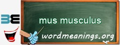 WordMeaning blackboard for mus musculus